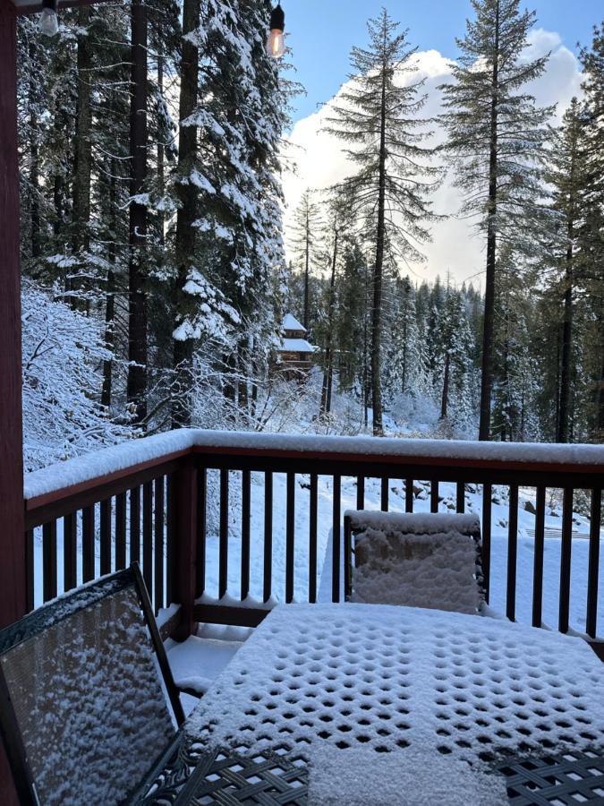 Apartment Yobee! Park Reservation Included! Heart Of Yosemite - Homey And Breakfast Yosemite West