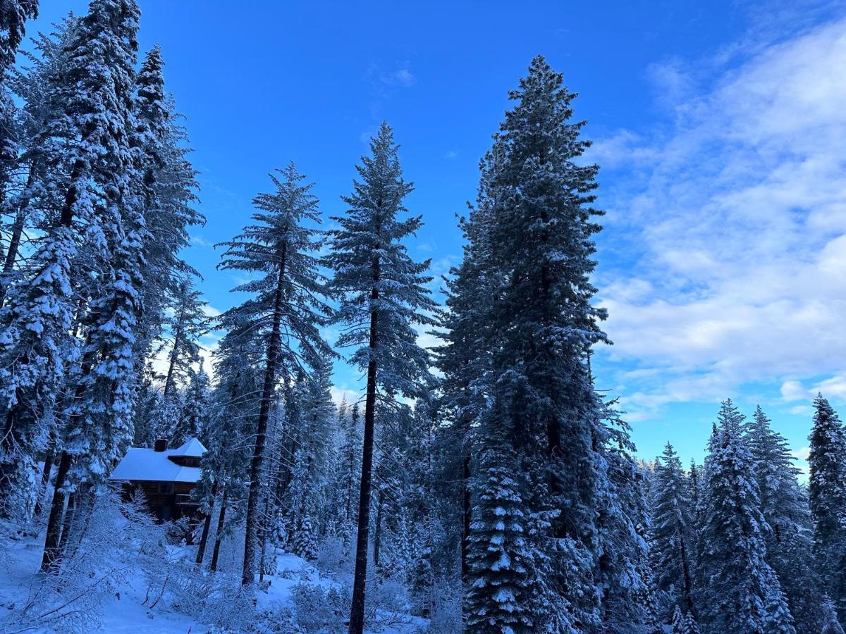 Yobee! Park Reservation Included! Heart Of Yosemite - Homey And Breakfast Apartment *