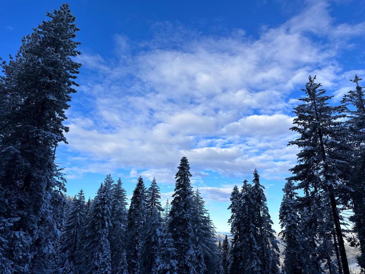 Yobee! Park Reservation Included! Heart Of Yosemite - Homey And Breakfast Apartment